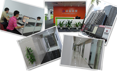 麻豆传媒网络公司