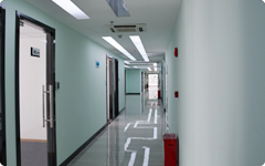 麻豆传媒网络客户